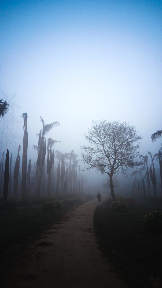 Photograph by Satyam