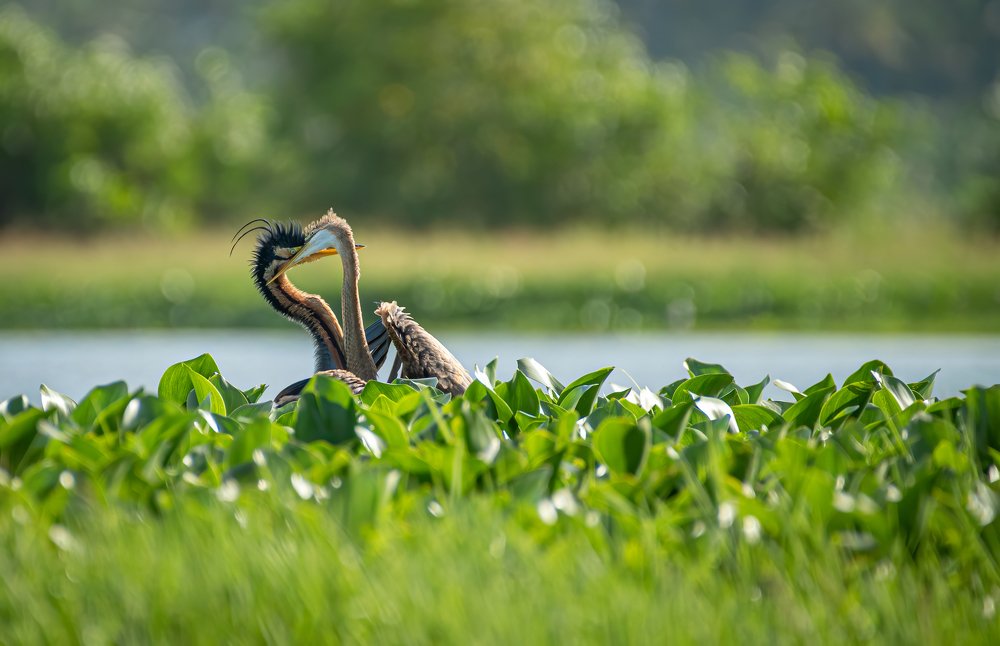 Photograph by PRASANTHDAS SD