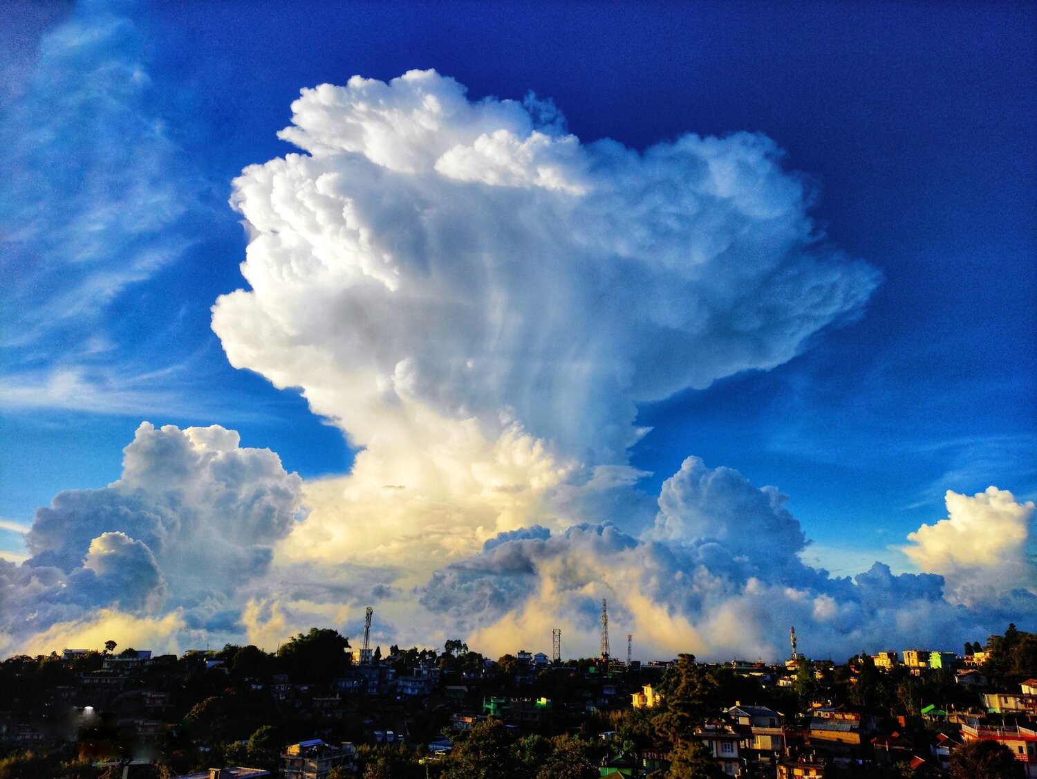 Photo #4706120