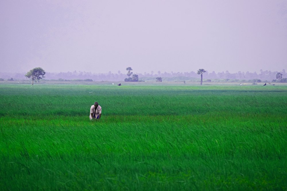 Photograph by Suyothami