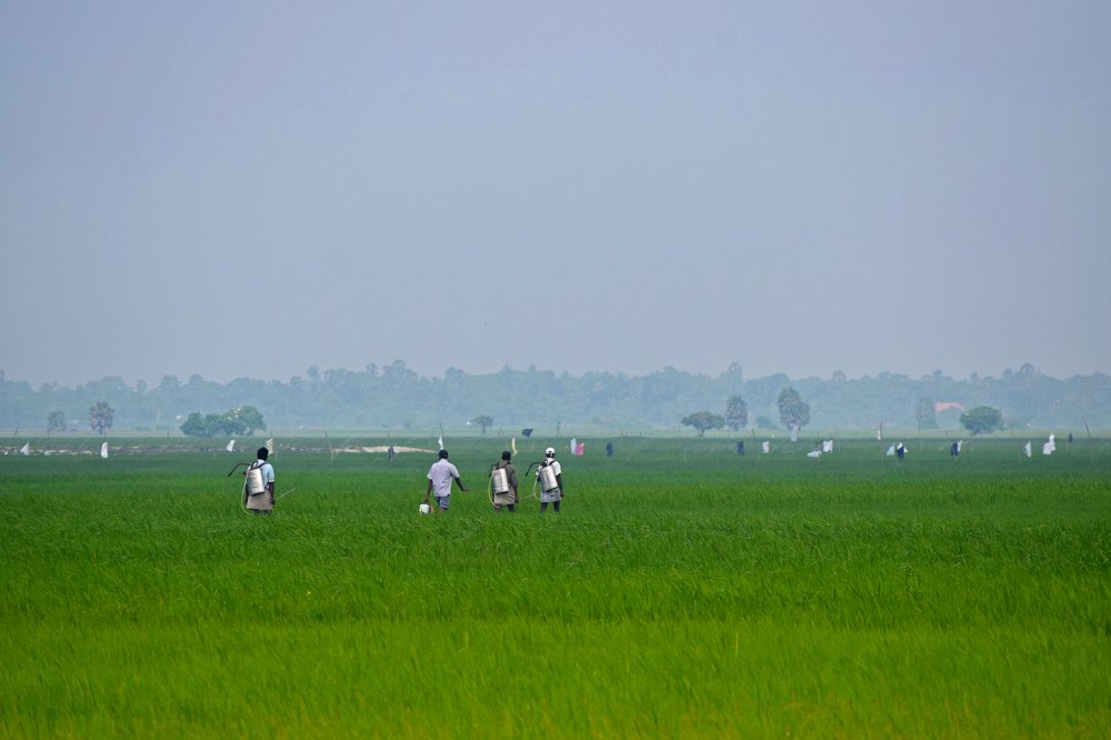 Photograph by Suyothami