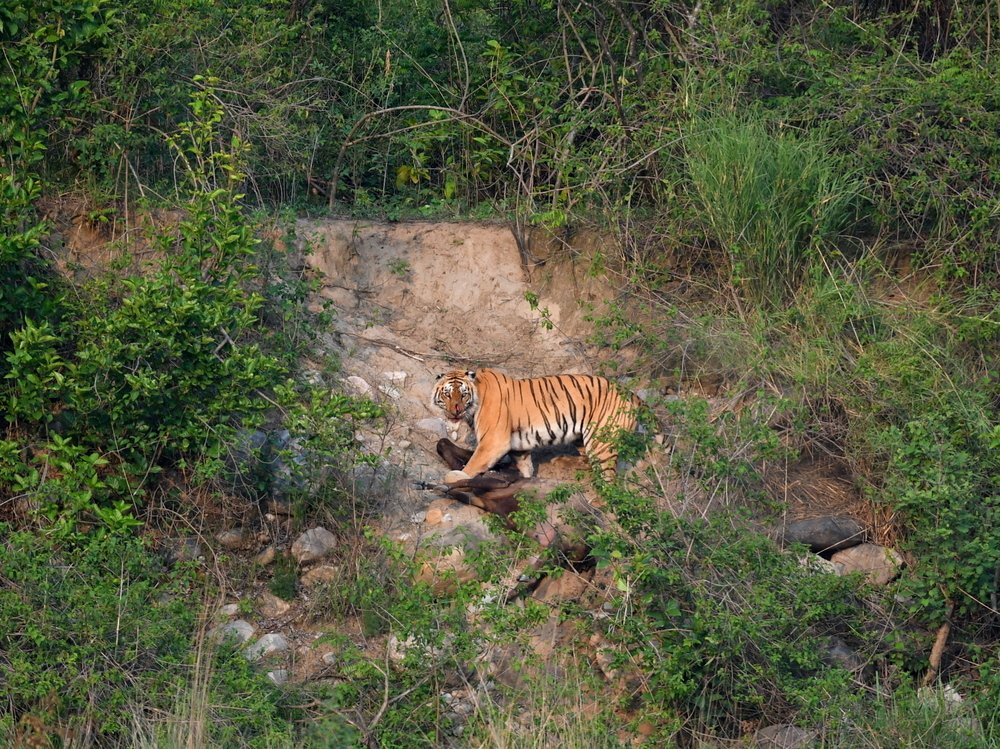 Photograph by Deep Rajwar