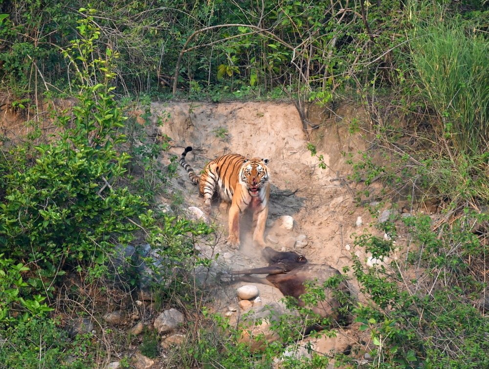 Photograph by Deep Rajwar