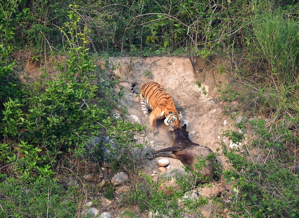 Photograph by Deep Rajwar