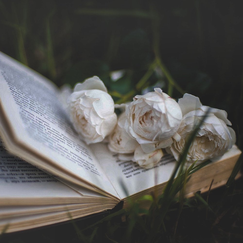 Photograph by Вера