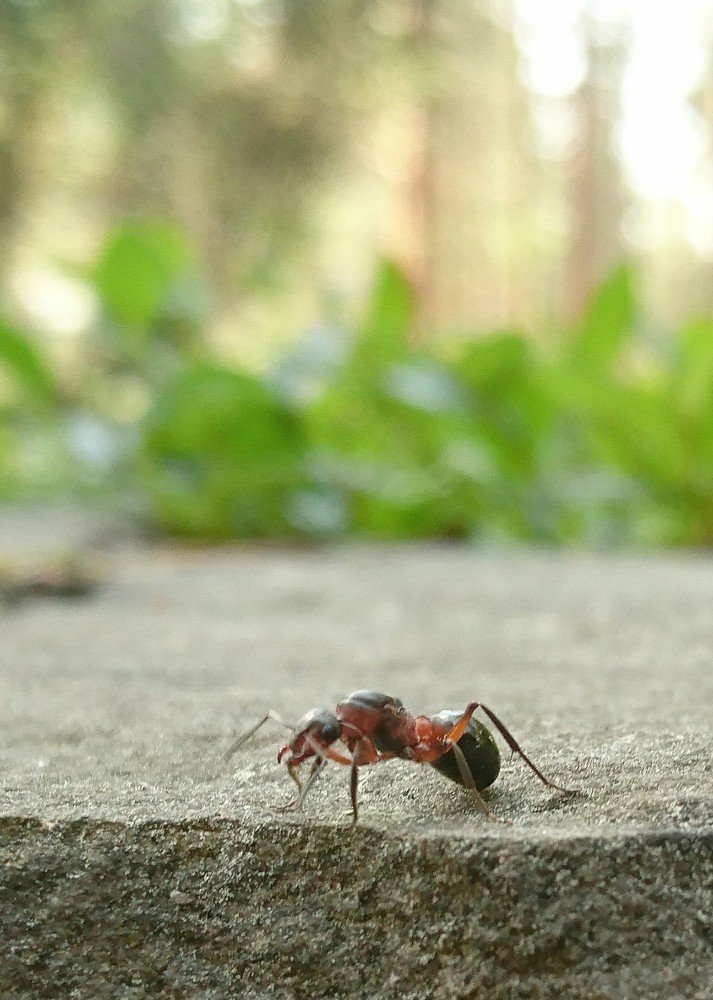 Photograph by Виктор Николаев