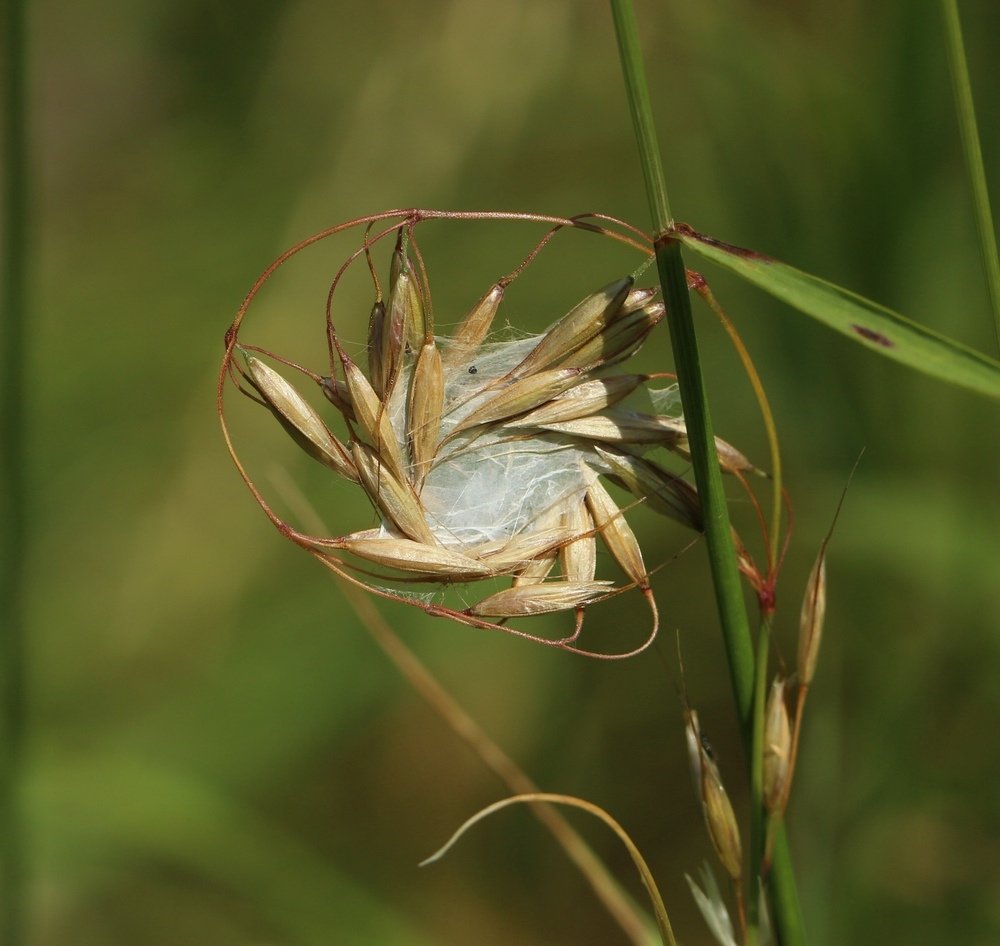 Фотография автора Олег Комарицкий