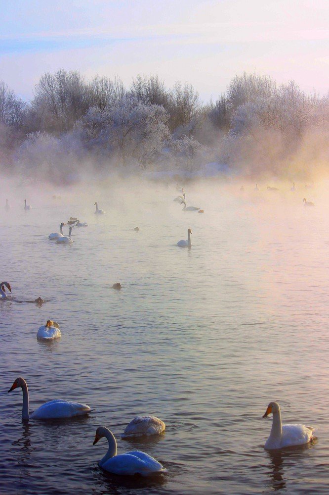 Photograph by Виктория Герасимович