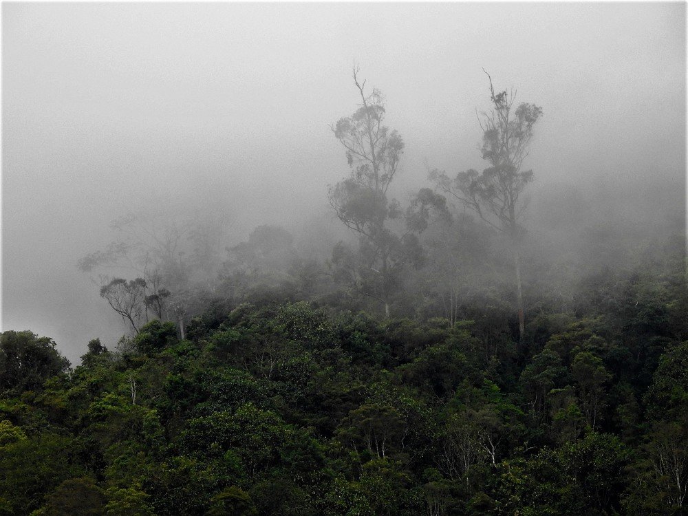 Photograph by JAIRO GALINDO