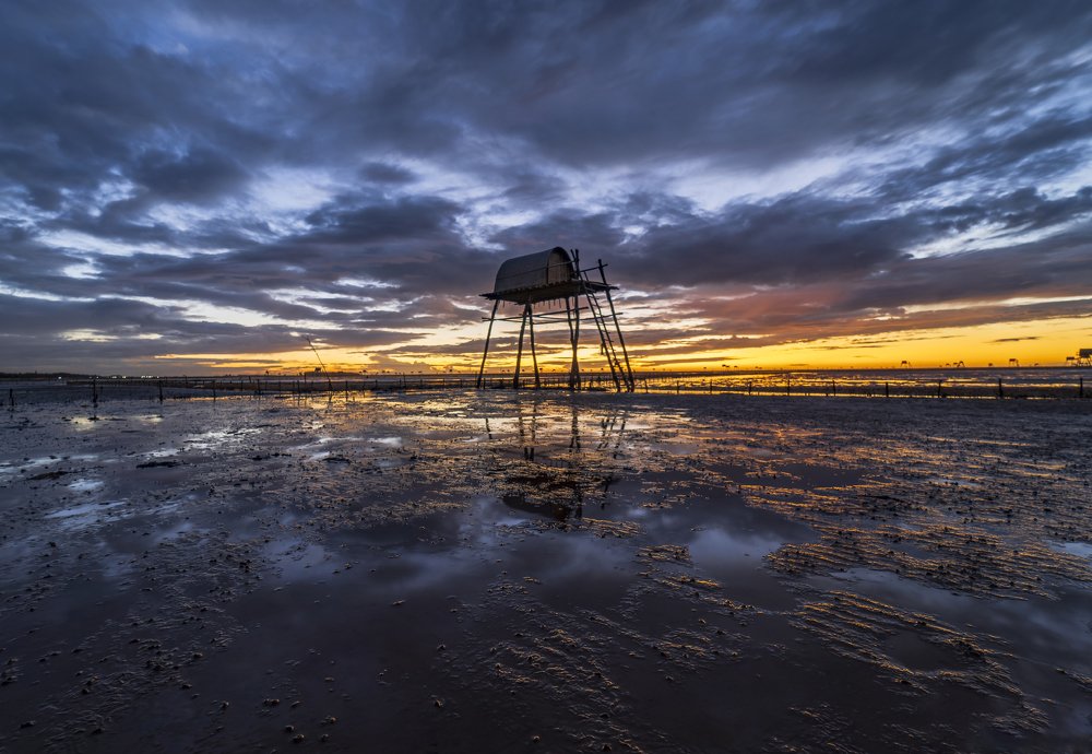 Photograph by Anh Tuấn Trần