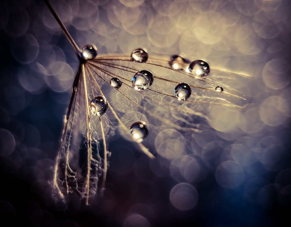 Photograph by Анастасия Винокурова