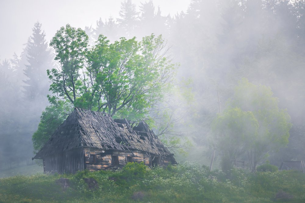 Fog House
