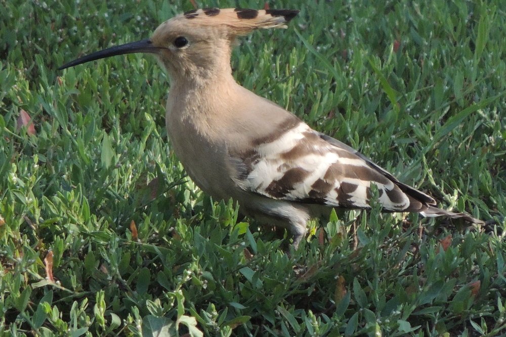 Photograph by Аспан