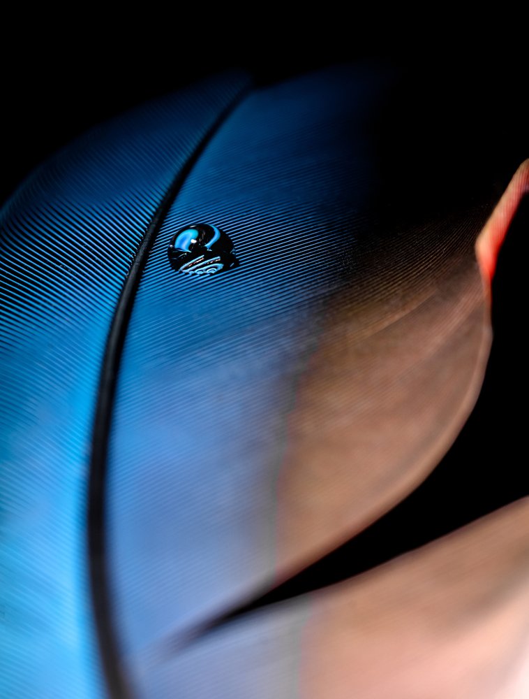 Фотография автора Константин Яковлев