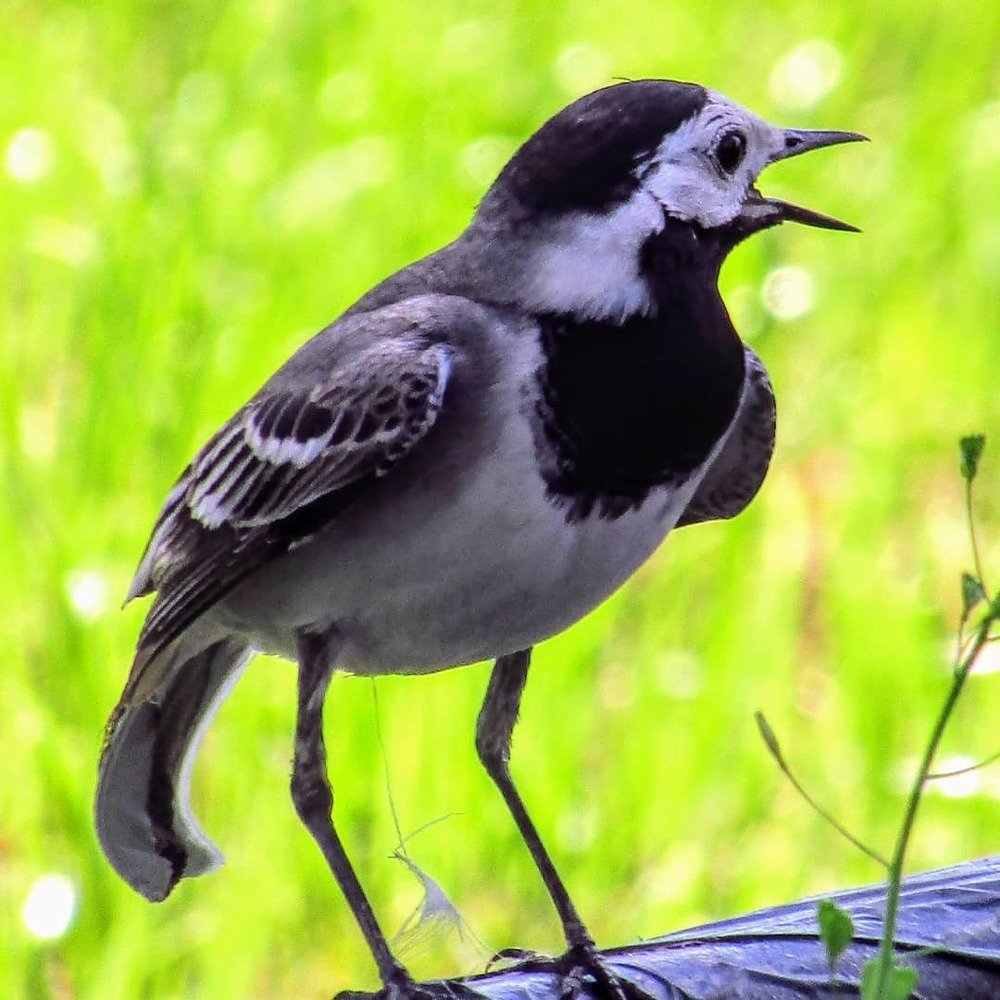 Photograph by Сергей Зайцев