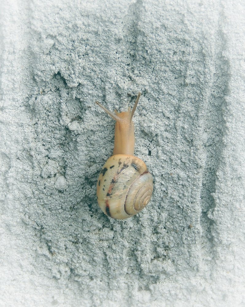 уверено  движение в верх