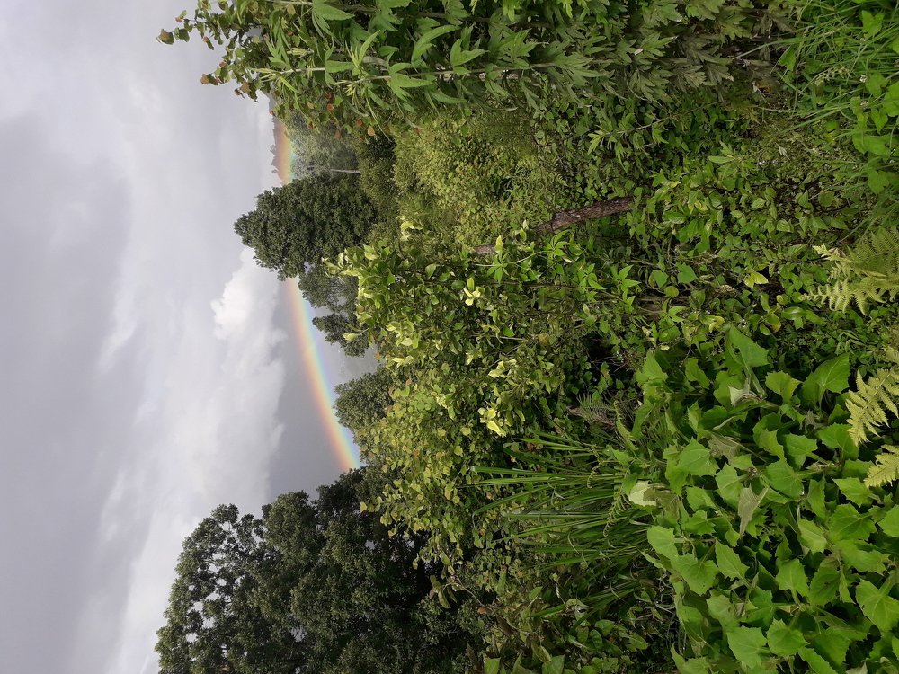 Фотография автора Karma Yangdon