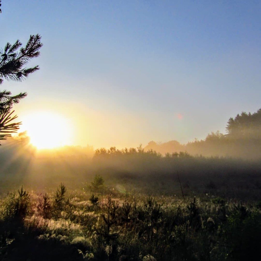 Photograph by Сергей Зайцев