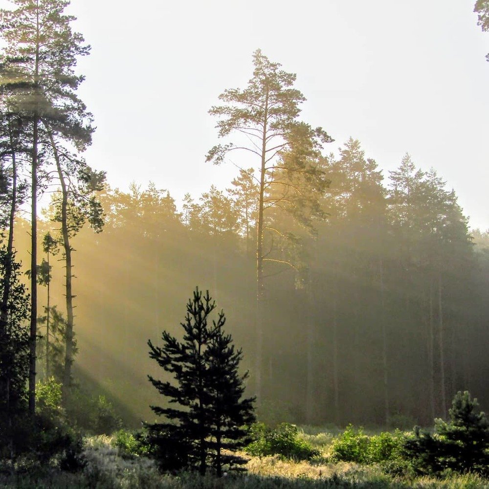 Photograph by Сергей Зайцев