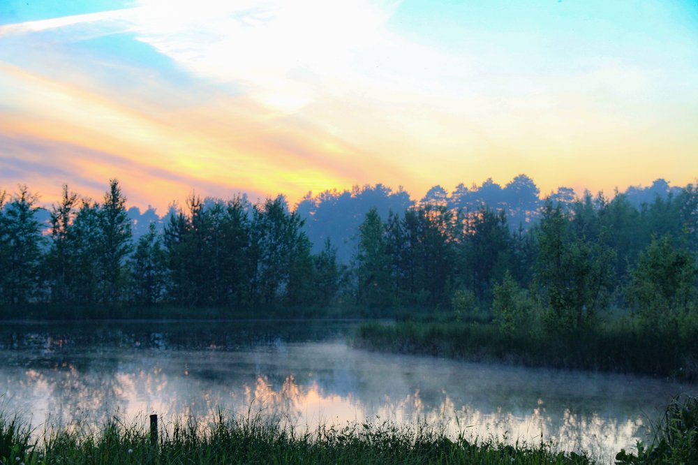 Photograph by Анна Дорофеева