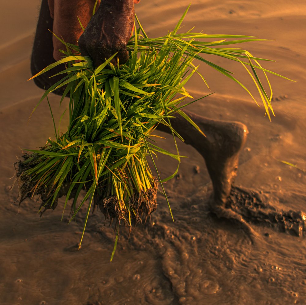 Photograph by Amit Singla