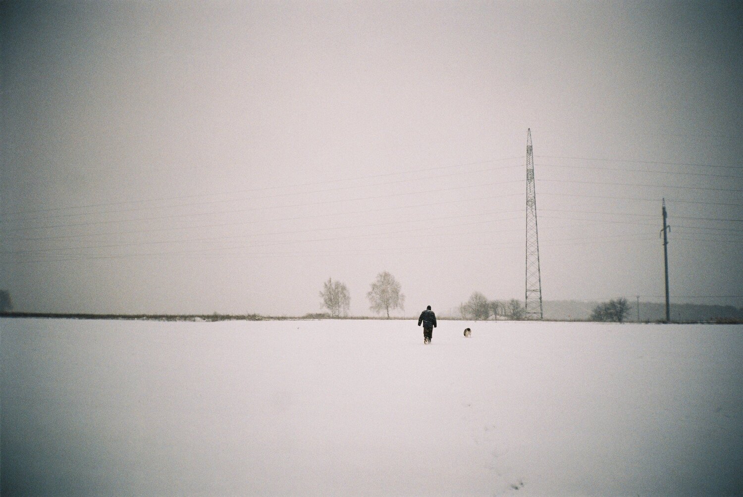 Photo #4706660