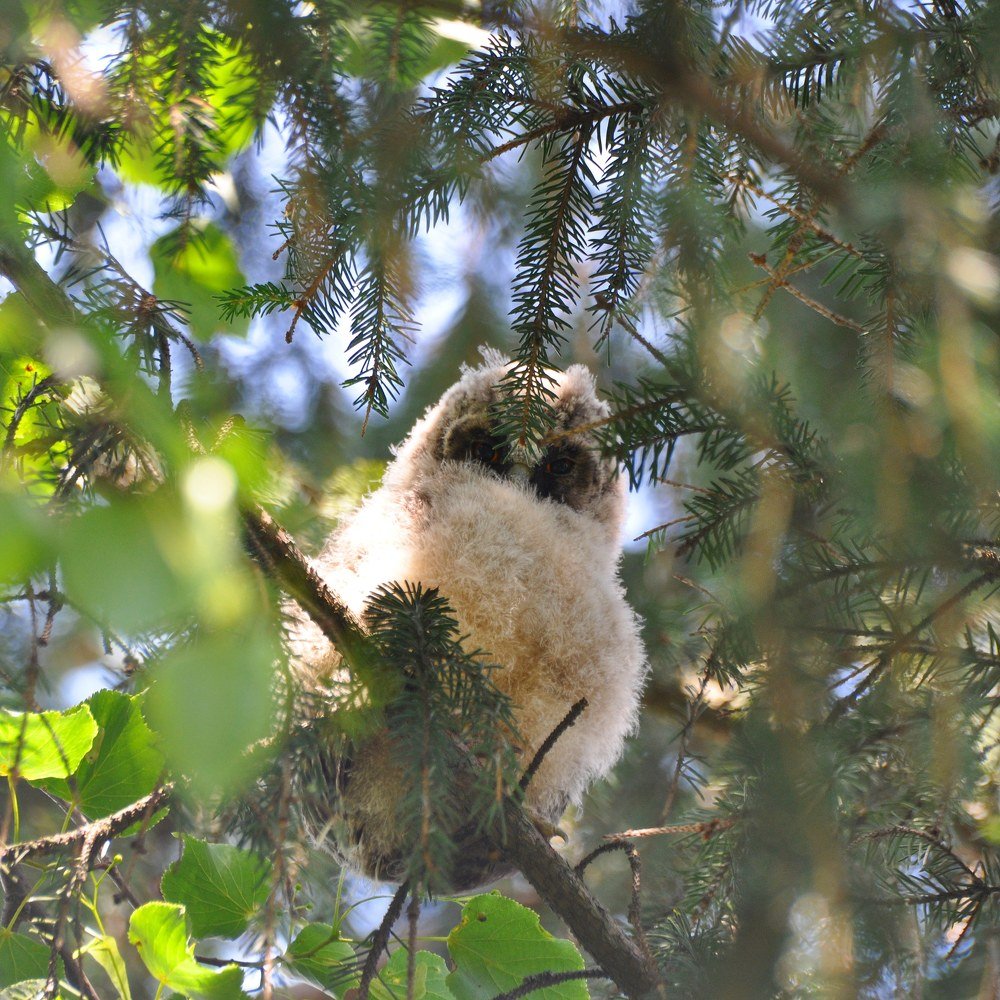 Photograph by Нина Мокина