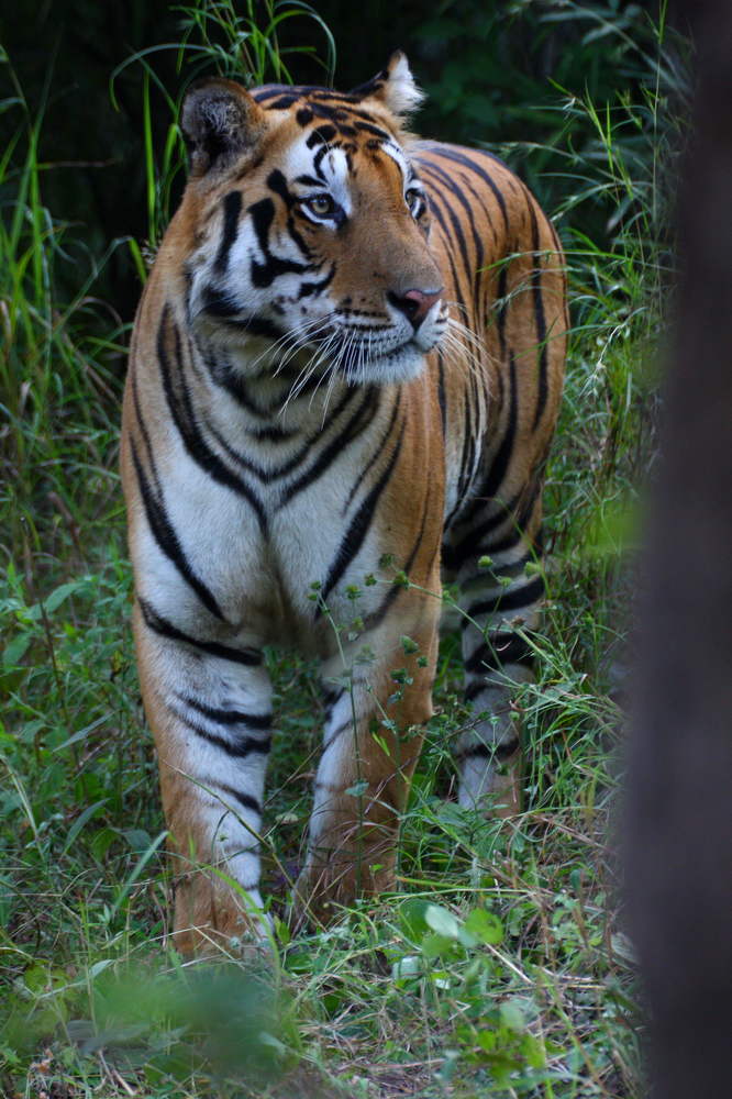 Photograph by Amber Sharma