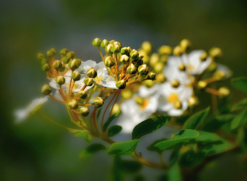 Photograph by Jaroslav Sameš