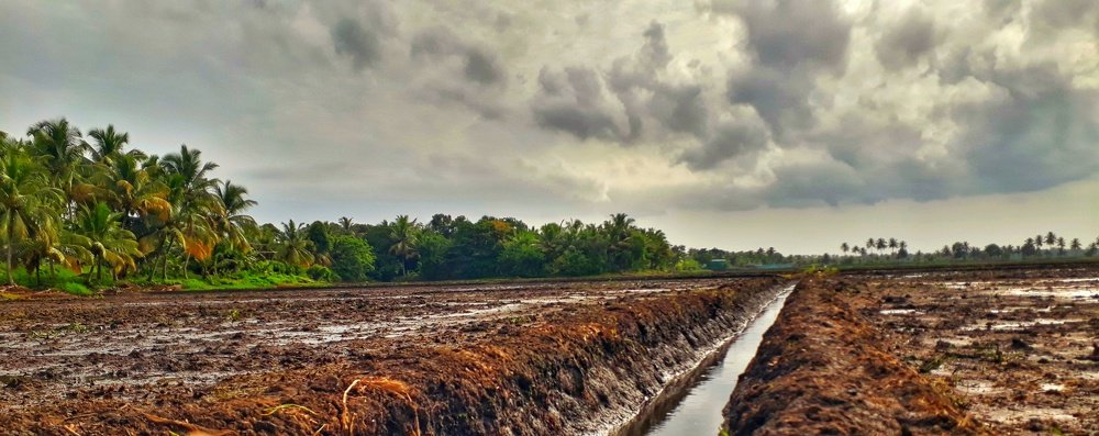 Photograph by Vineej Somanathan