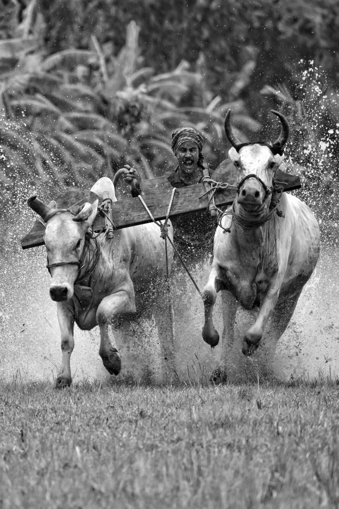 Photograph by Joy Karmakar