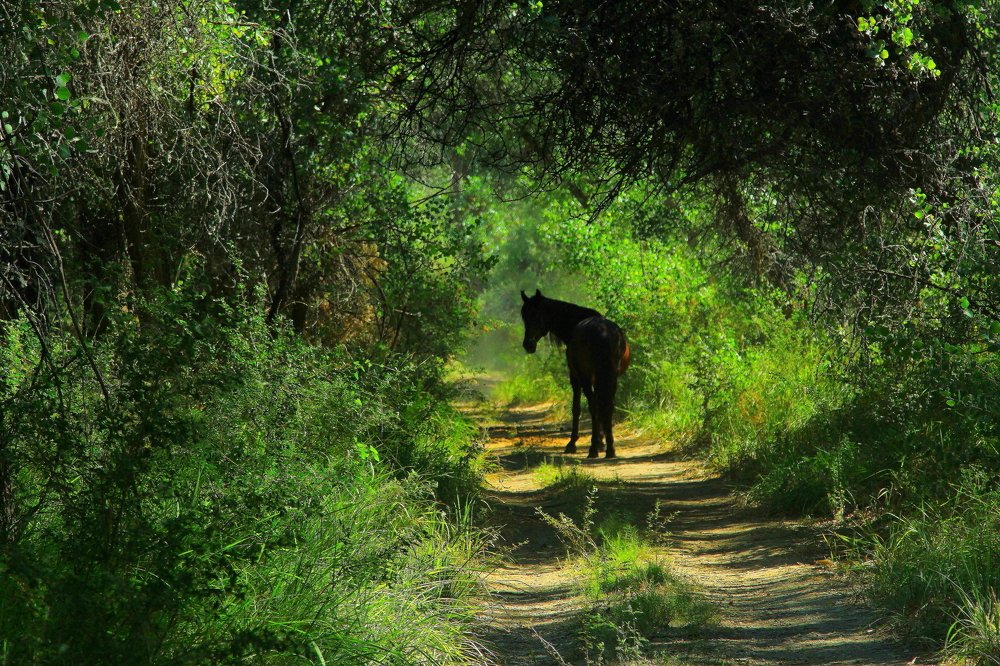 Photograph by Бейбит Бертаев