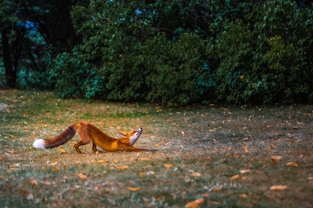 Photograph by Yuliya Belyanina