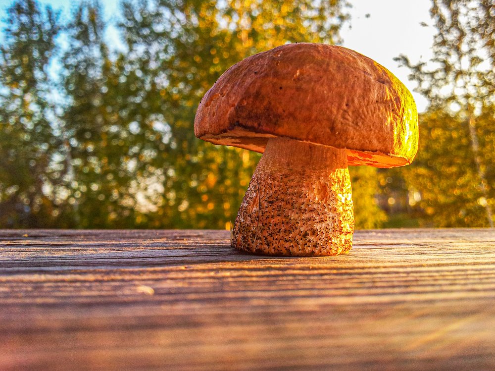 Photograph by Евгений Фазлеев