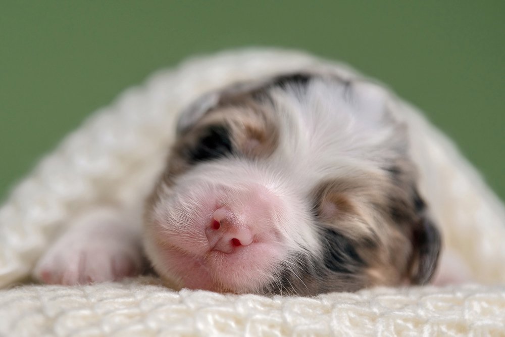 Photograph by Katerina Kutova