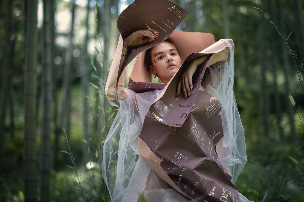 Фотография автора Ольга Огиенко