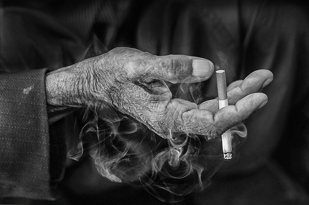 Photograph by mohsen mikaeili