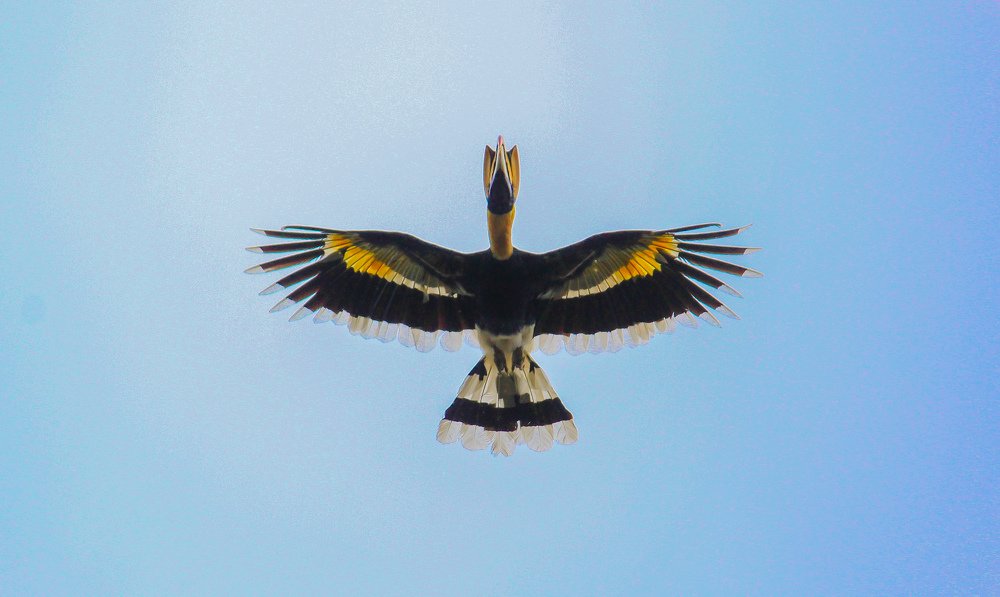 Photograph by Ajith Sivadasan