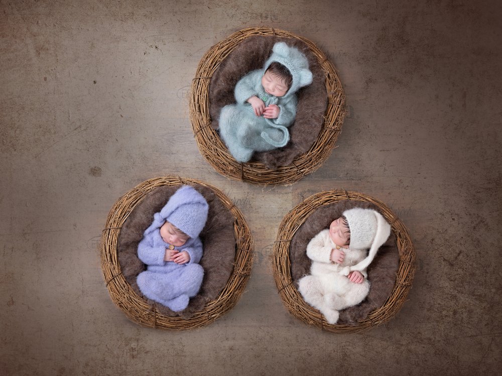 Фотография автора Limor David Samovich