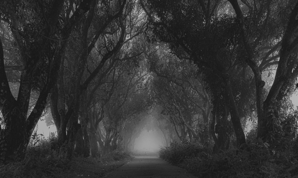 Photograph by Sanyat Turjo