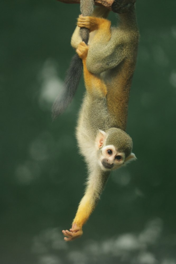 Photograph by DEBYENDU DAS