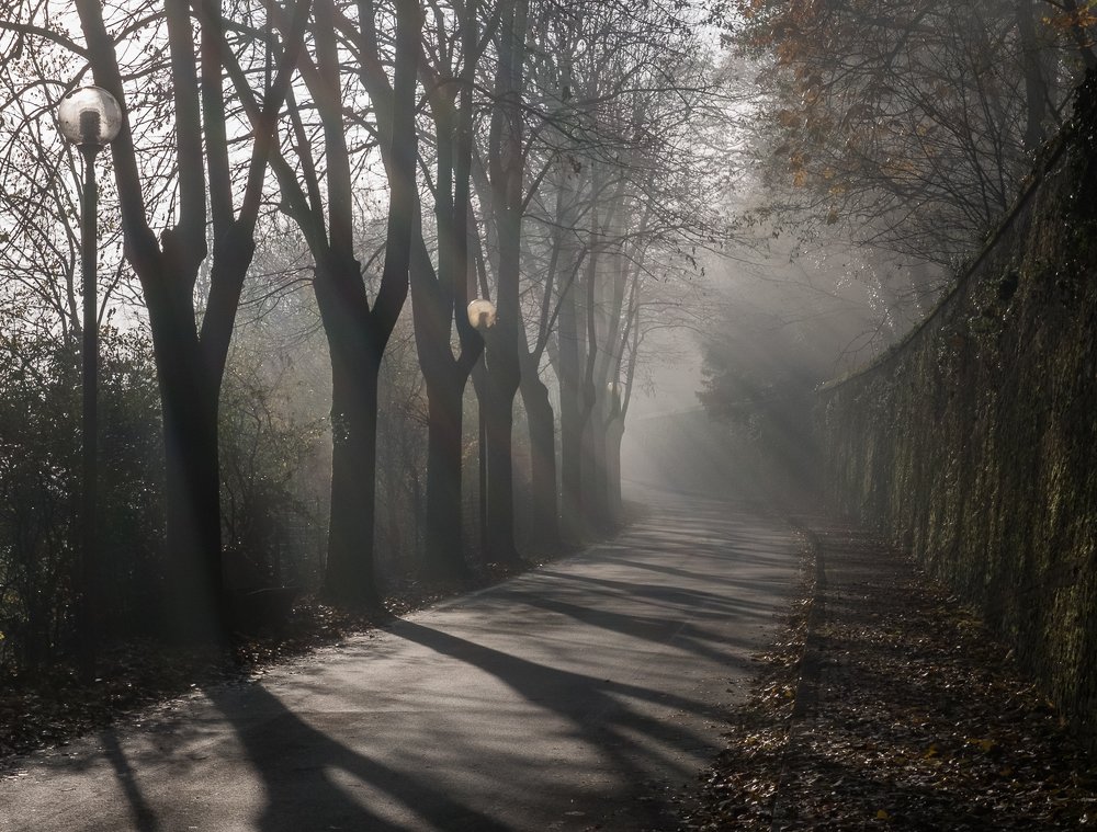 Photograph by Terebilov Andrey