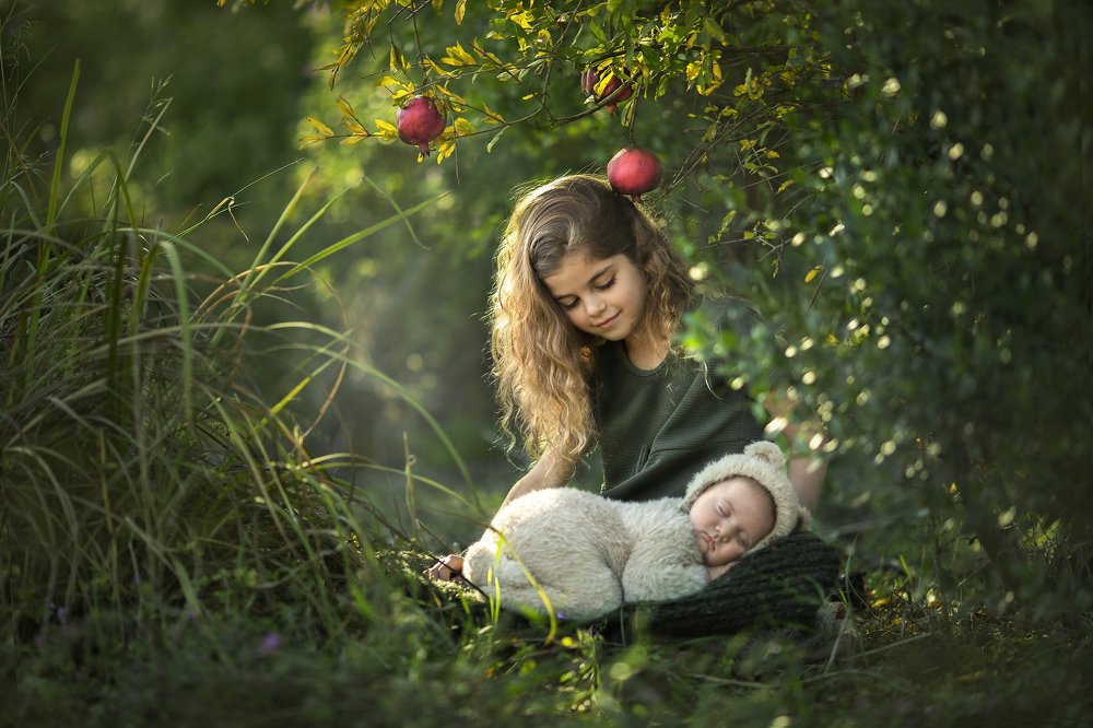 Фотография автора Limor David Samovich