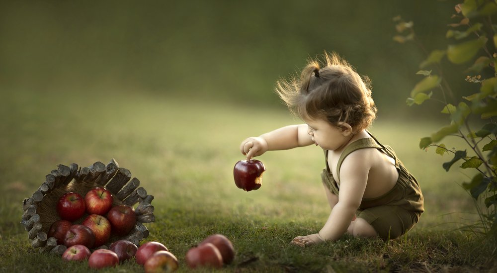 Фотография автора Limor David Samovich