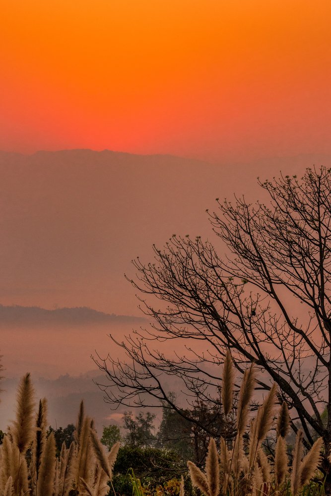 Morning of Sajek Valley