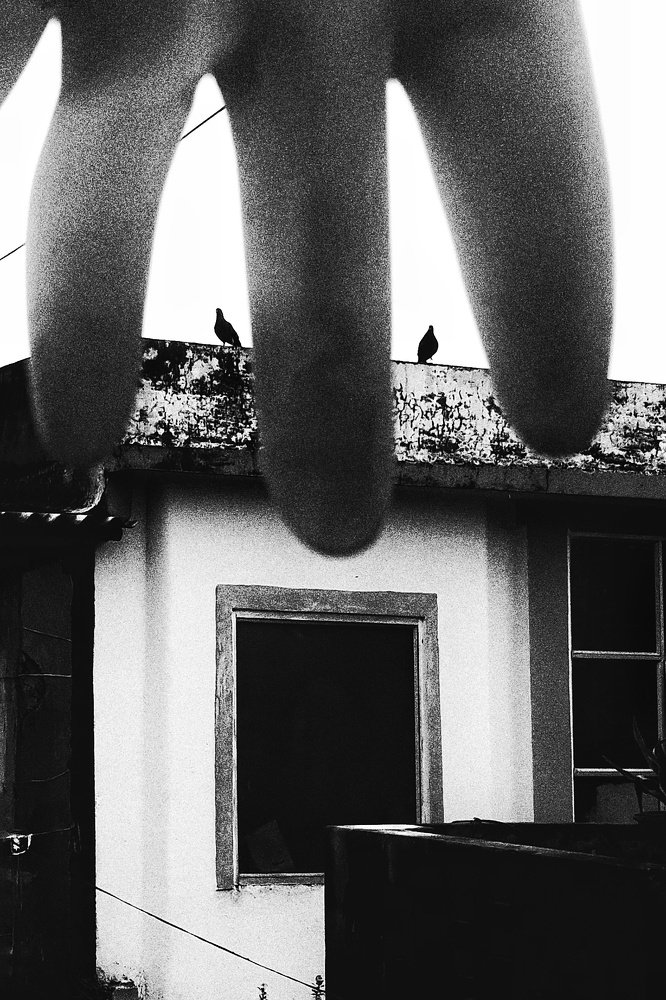 Photograph by Santanu Dey