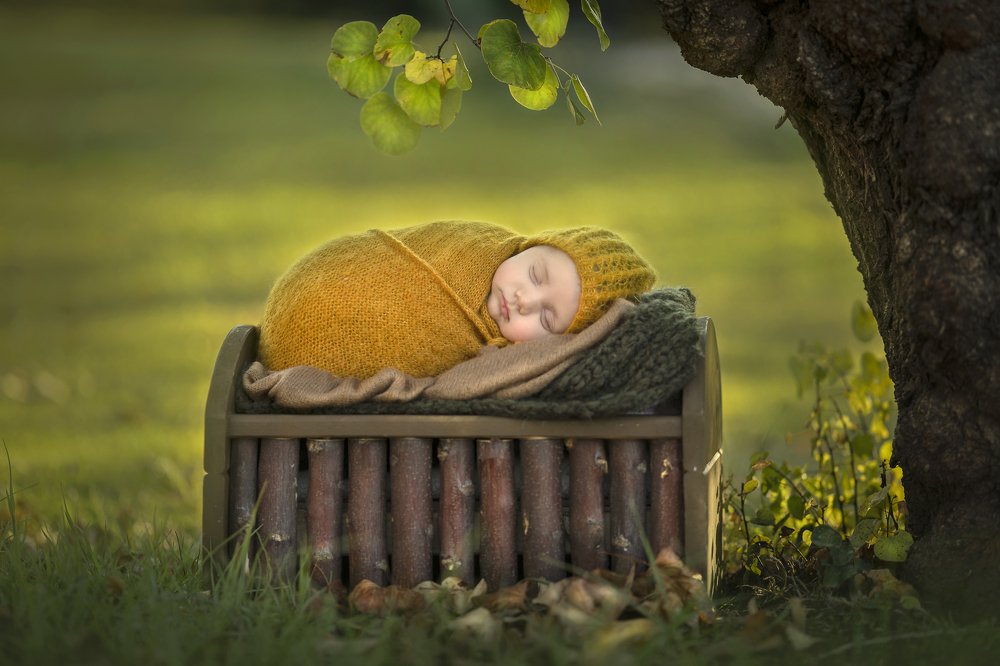 Фотография автора Limor David Samovich