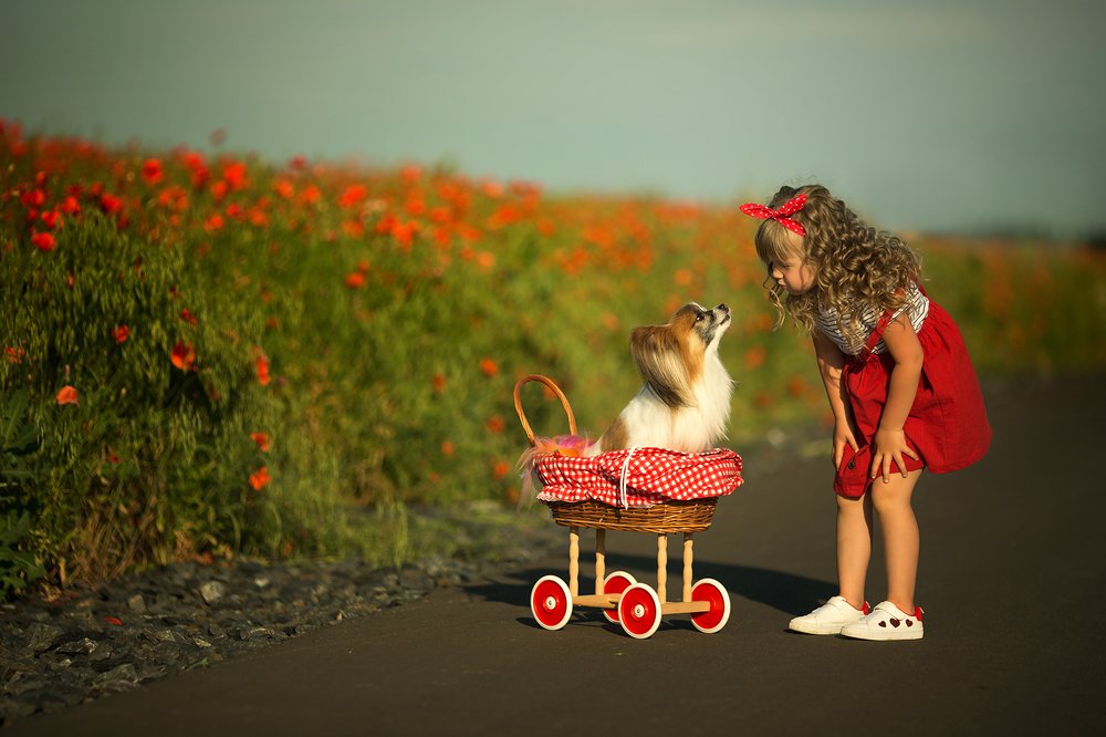 Photograph by Валерия Мороз