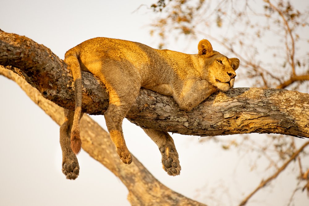 Photograph by Raquel Barao