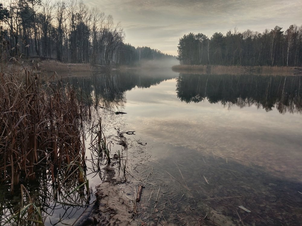 Photograph by Артем Филипеня